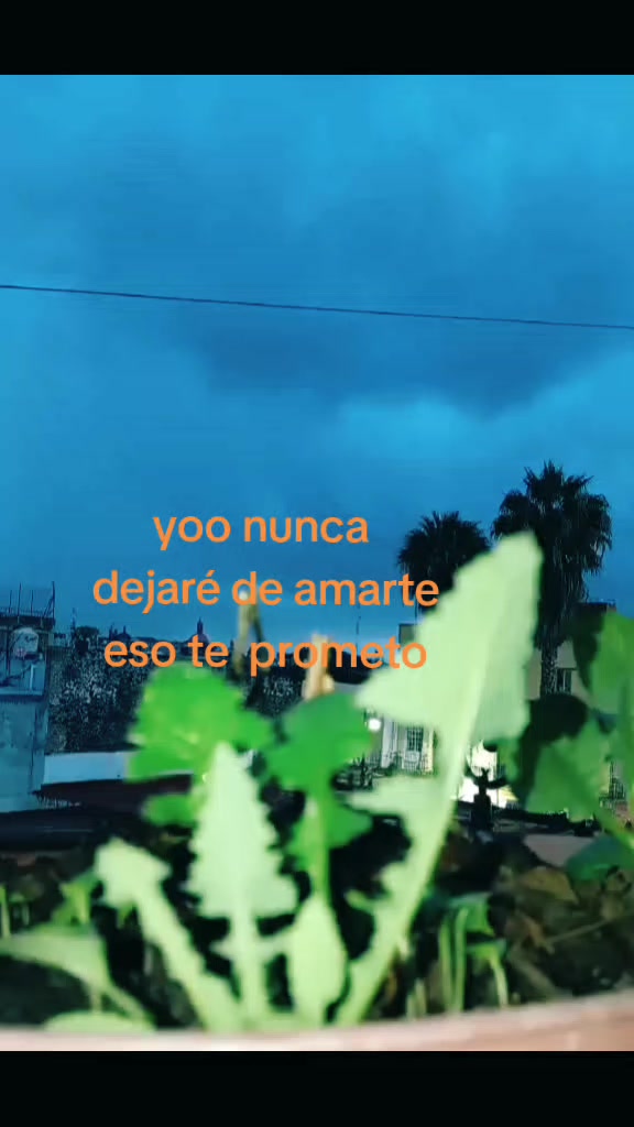 @Yaquelin Barrios
