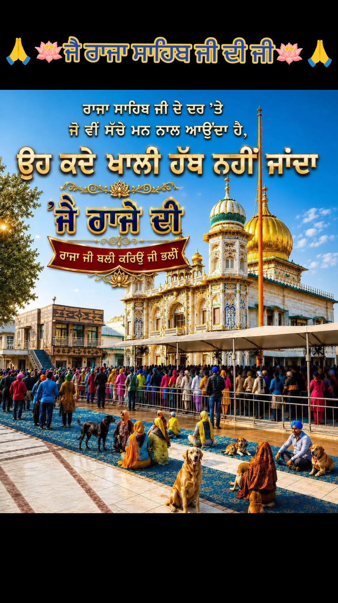 @NavMadhar