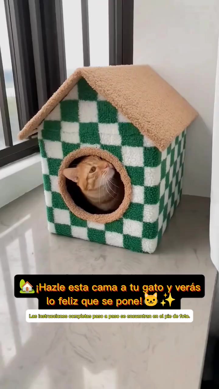 @Todo Mascotas 🐾🎓