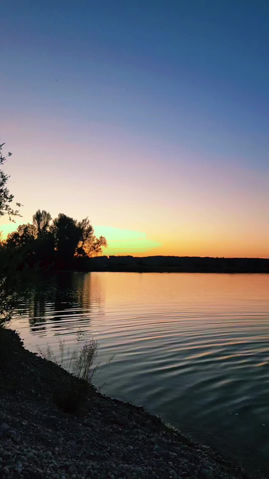 @𝓐𝓰𝓲 𝓕𝓮𝓽𝓱