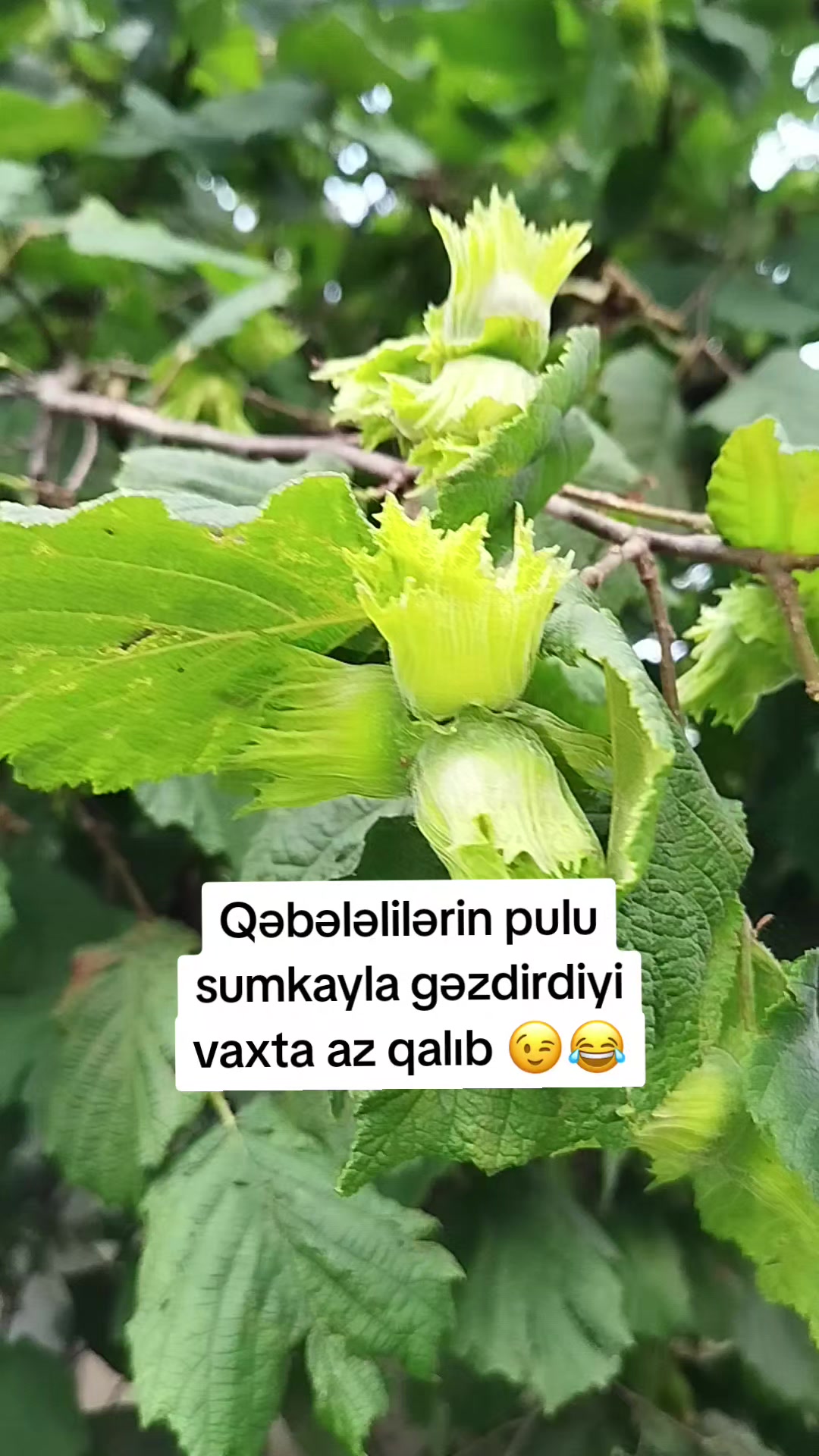 @By İlkan