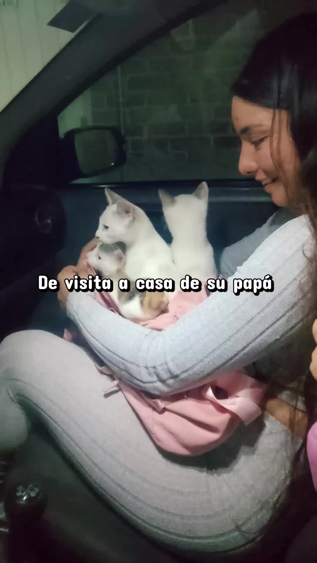 @Kim Lule