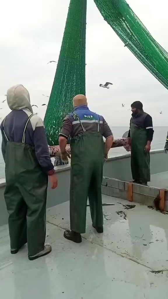 @🛳️h&agrave;m&igrave;d&oslash;⚓⚡R&aelig;ys&euml;🐬🏴&zwj;☠️