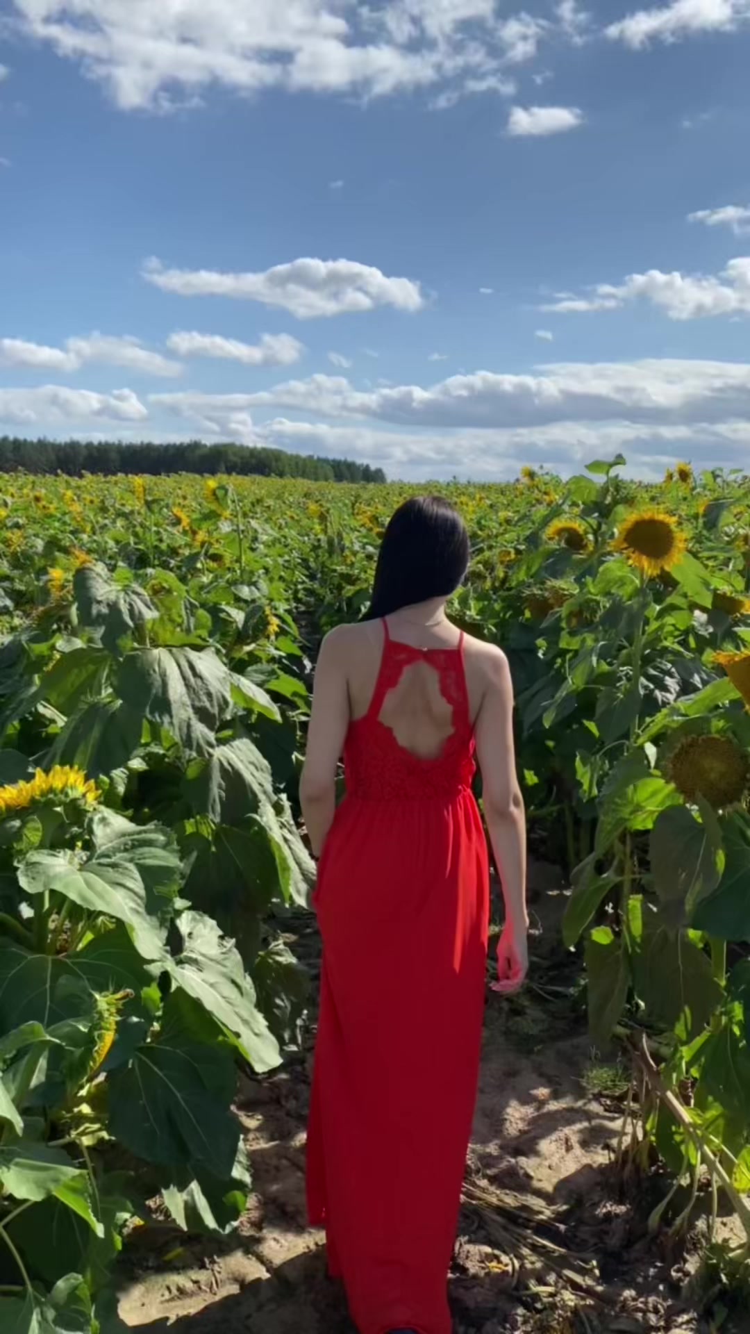 @꧁༺ ❤️𝓐𝓷𝓪𝓼𝓽𝓪𝓼𝓲𝔂𝓪 ❤️༻꧂