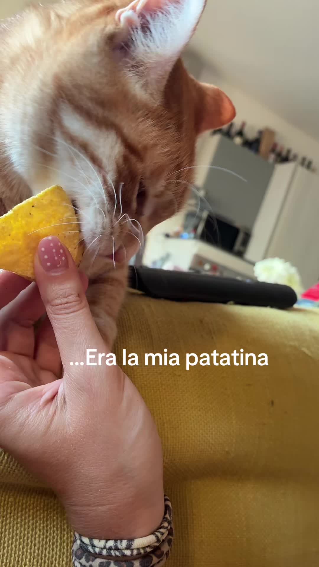 @Ale.marzi
