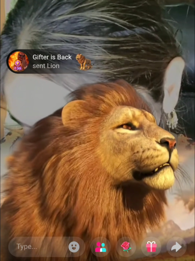 @Gifter is Back