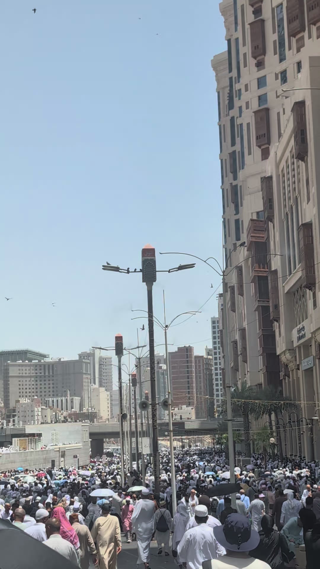 @عمیر رشید