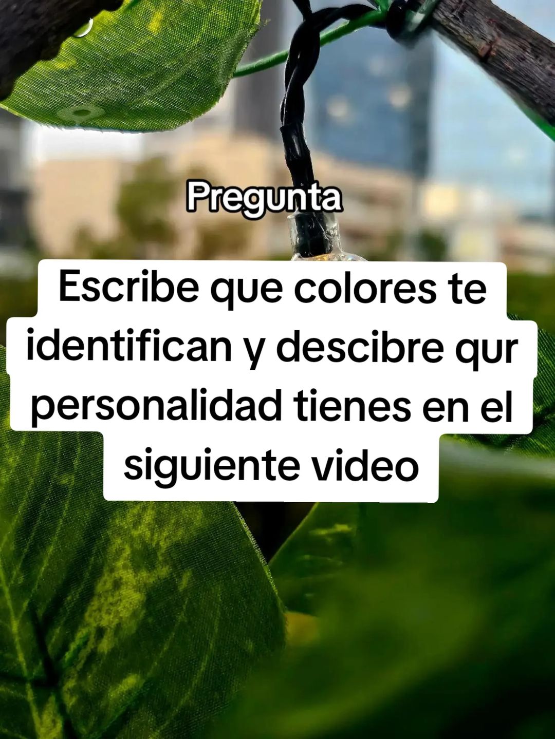@Mar&iacute;a Chavana
