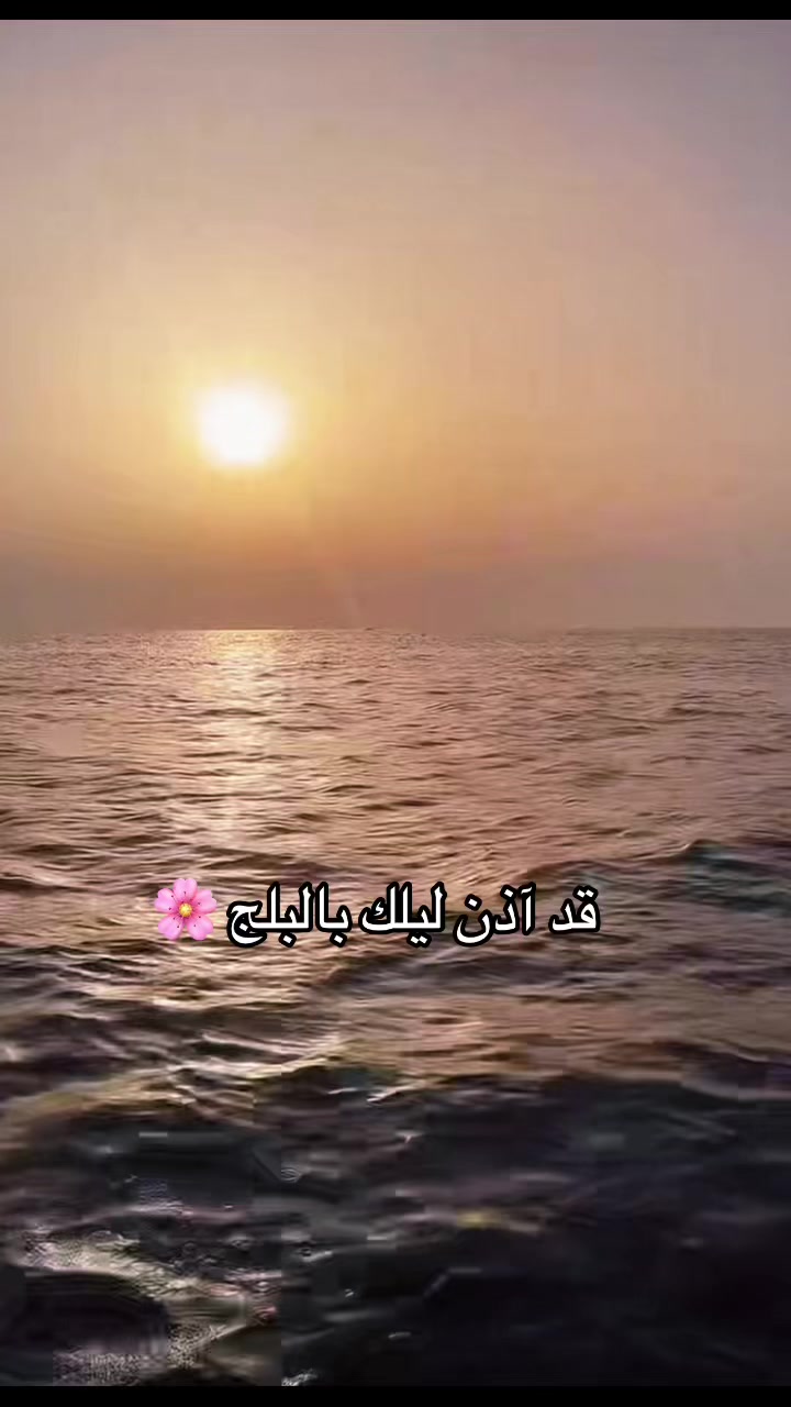 @Omfarouk_7