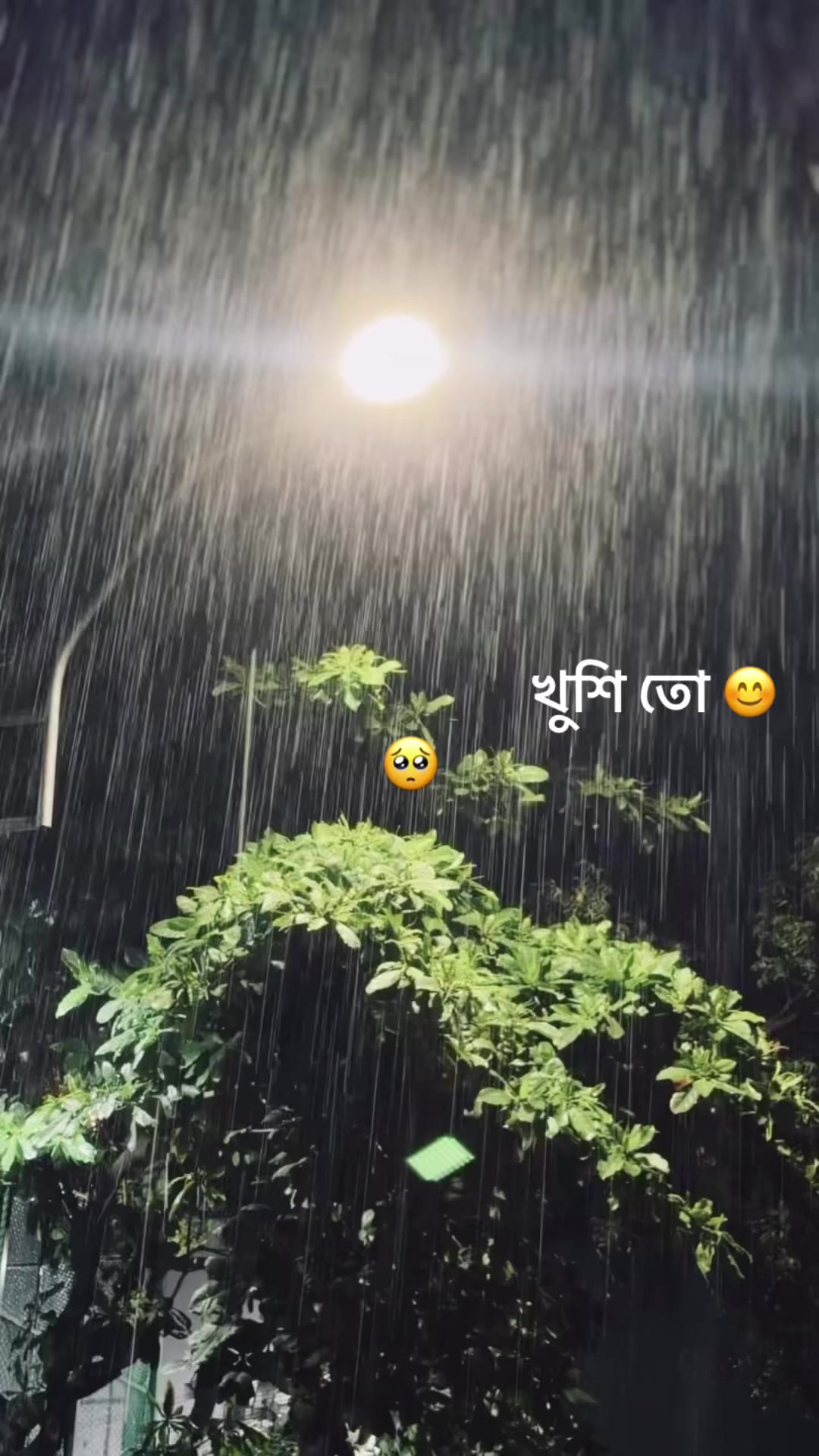@Jibon⛎ (Kala)