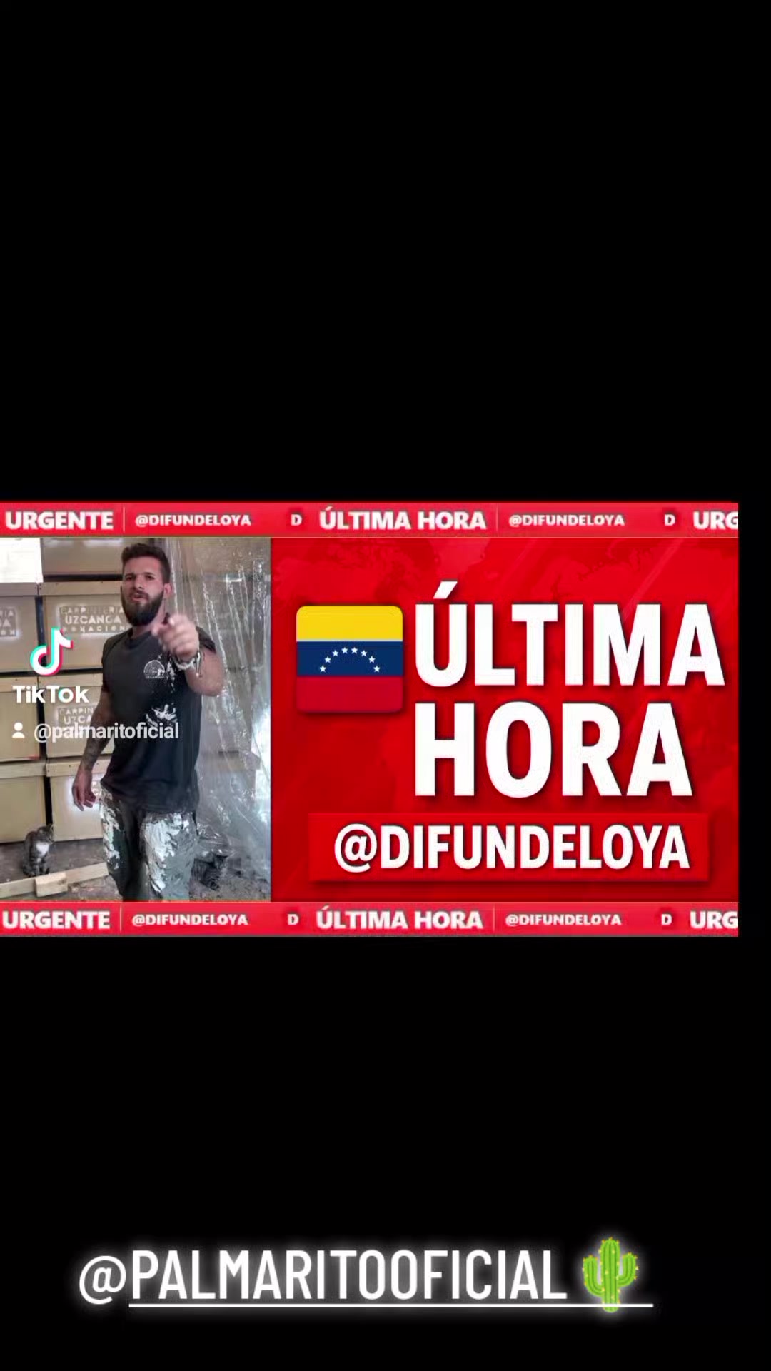 @PALMARITOOFICIAL 🌵
