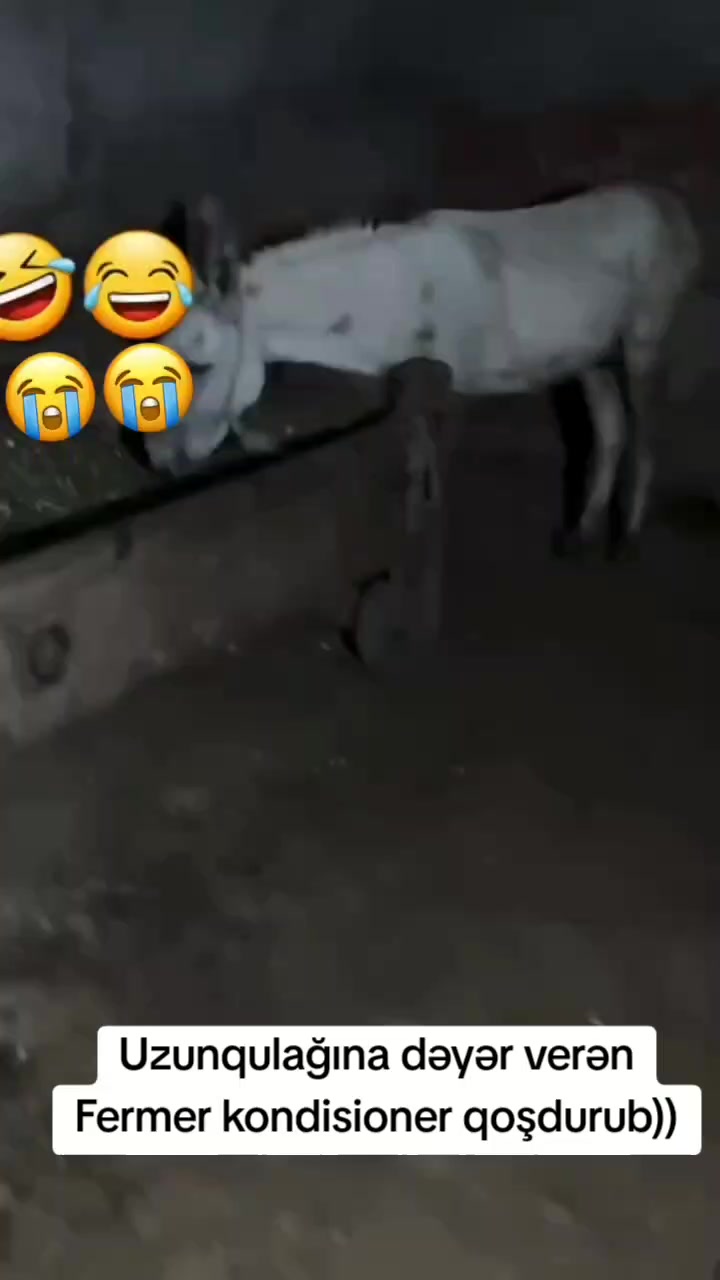 @👷&zwj;♂️🏘SƏNAN USTA 🏘👷&zwj;♂️