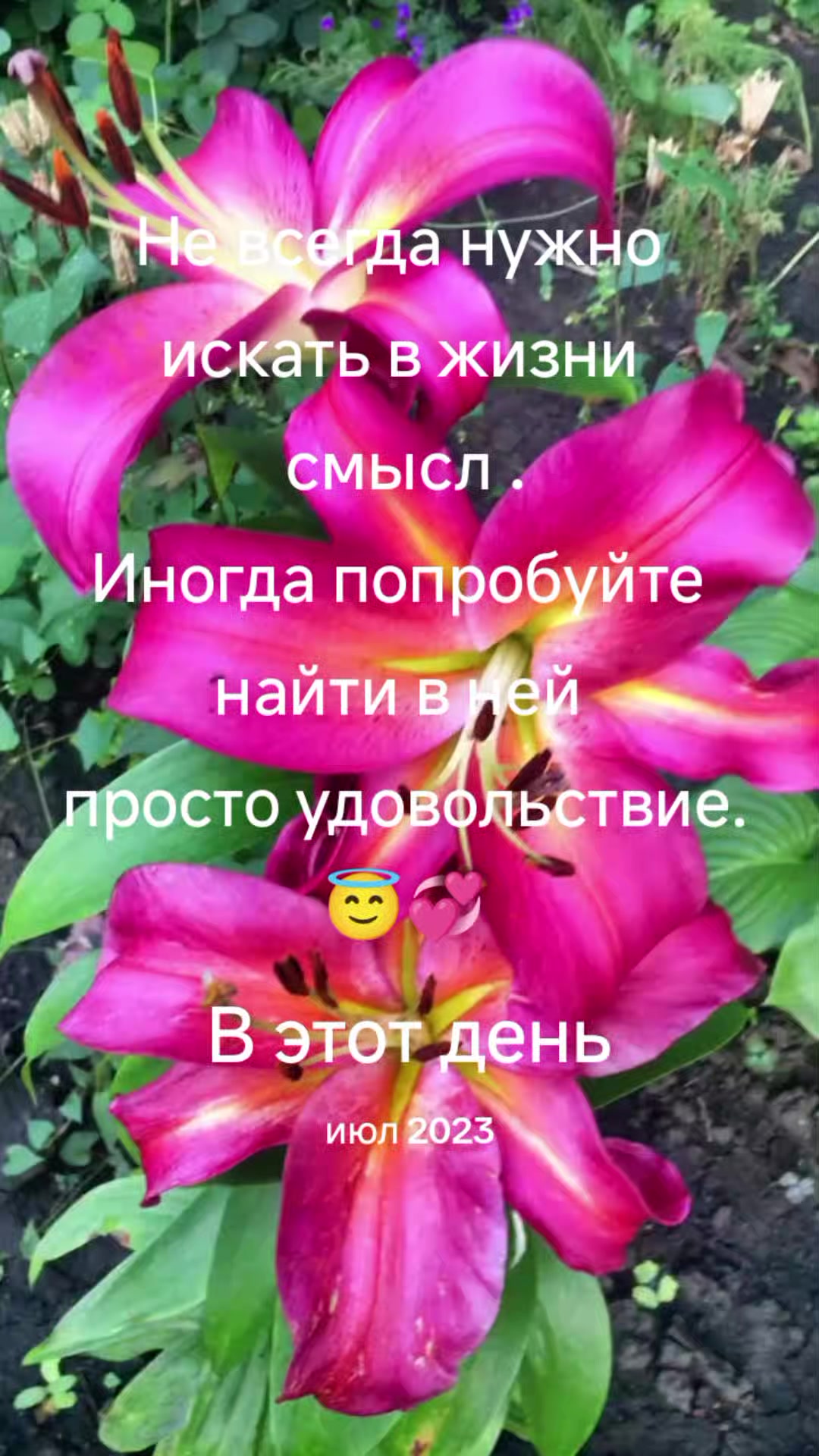 @Ангел дарит любовь