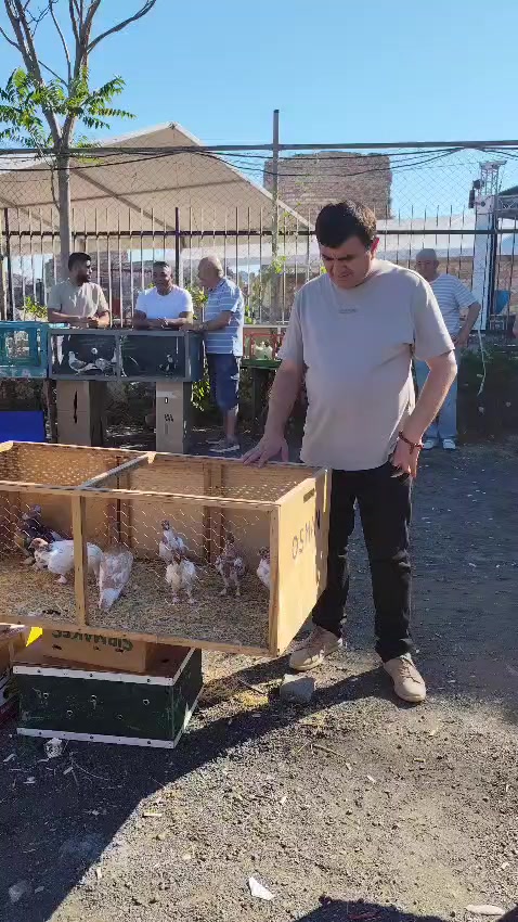 @Erkan Birkan Ece