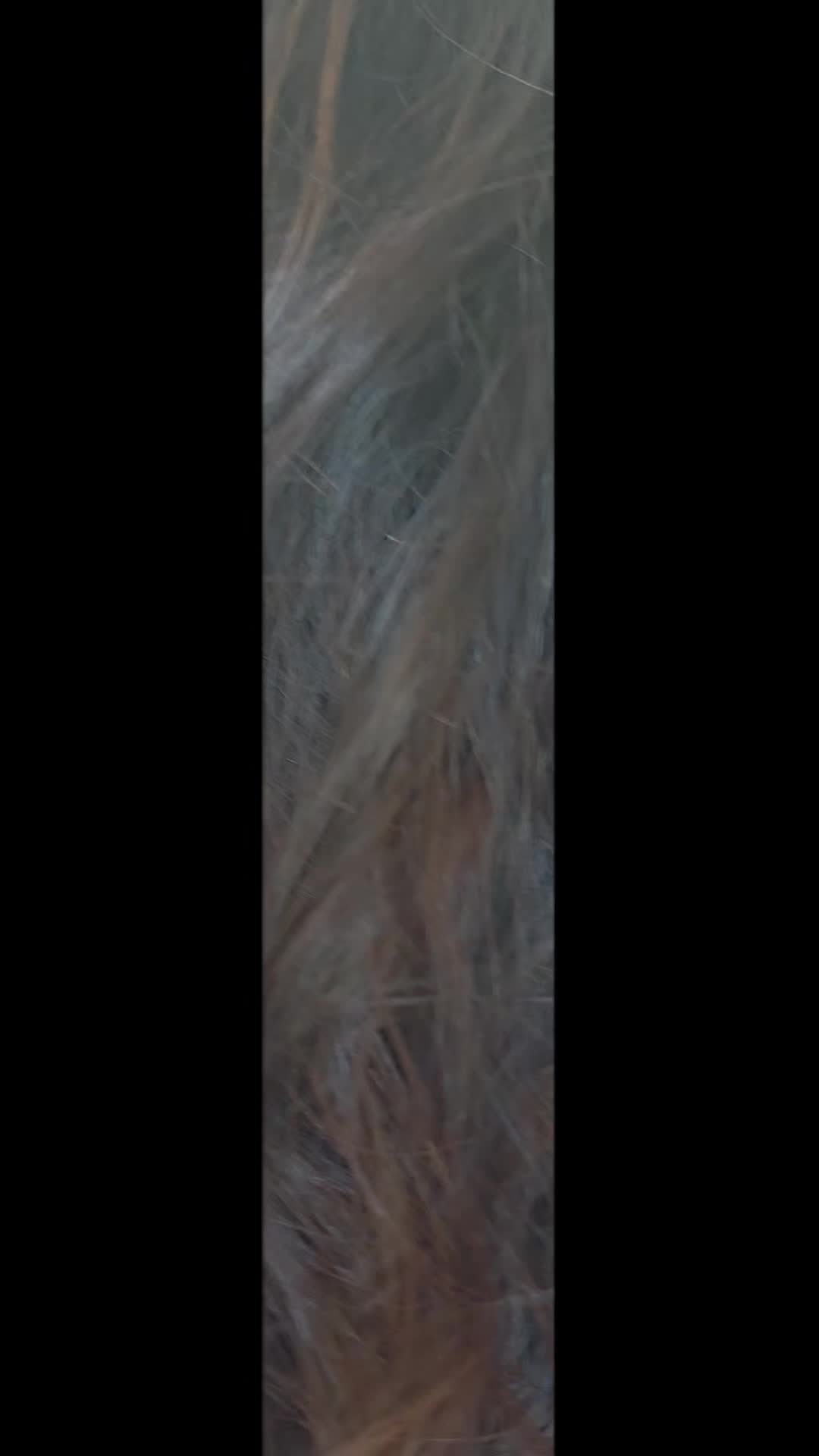 @mariaperta27