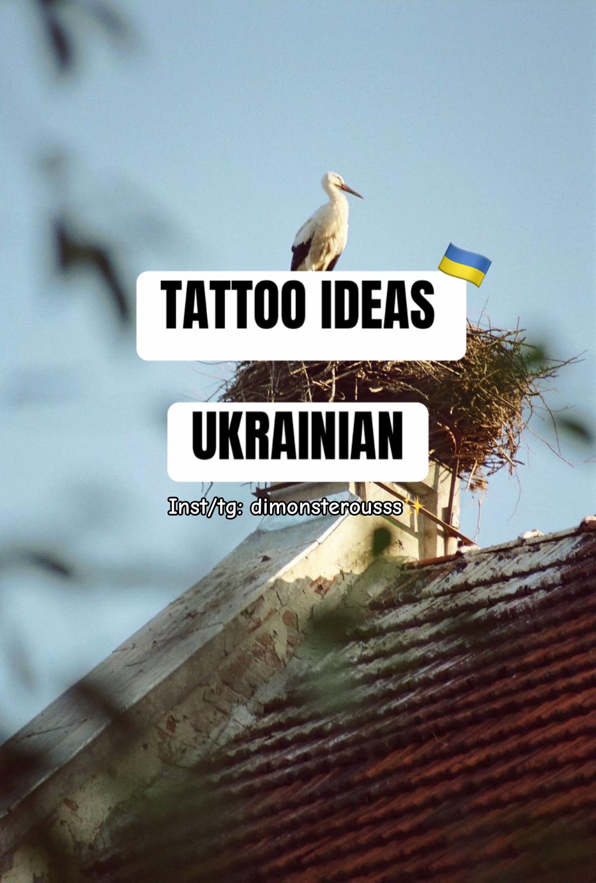 @dmytro🕷️