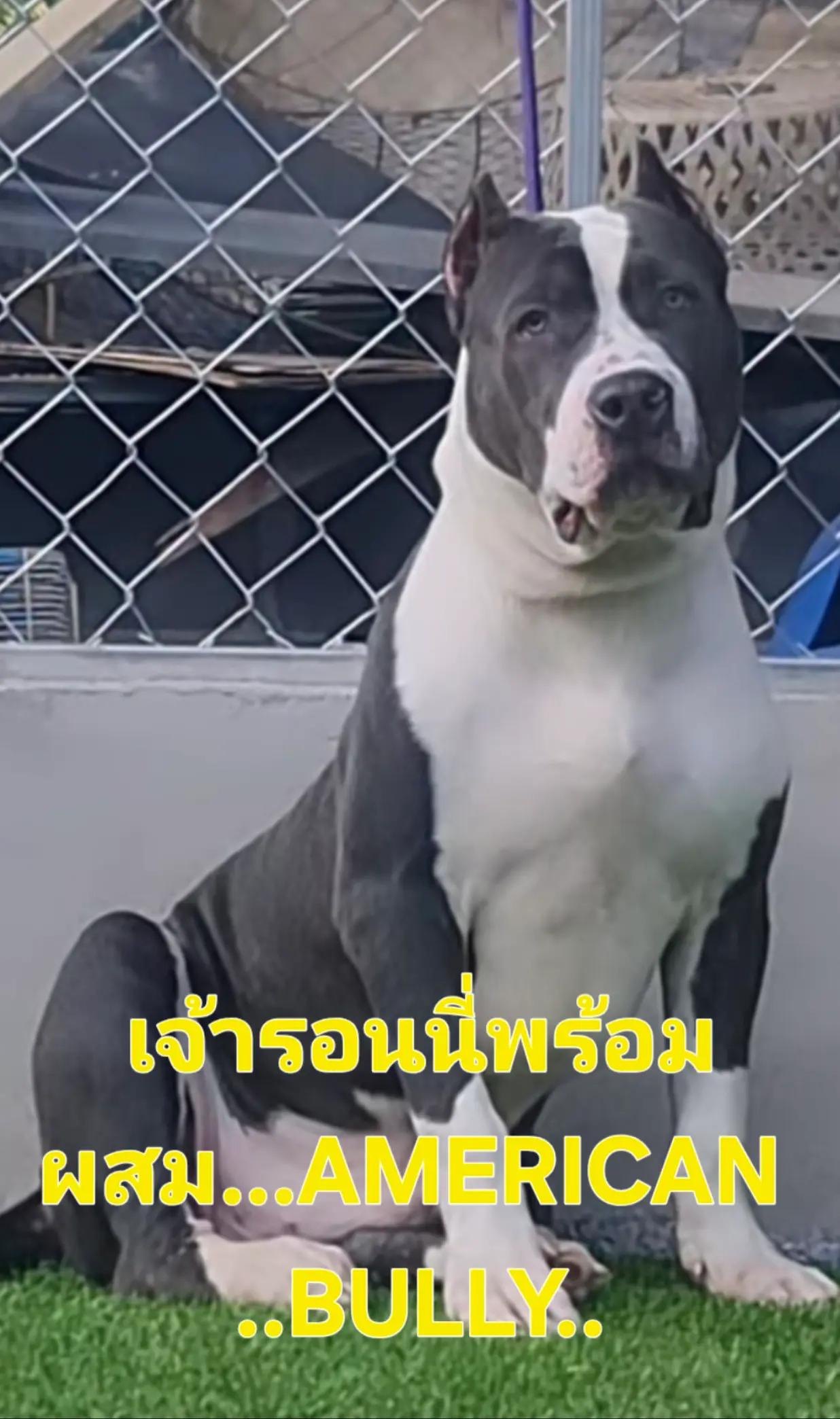 @เจ เด็กคอนหวัน1977