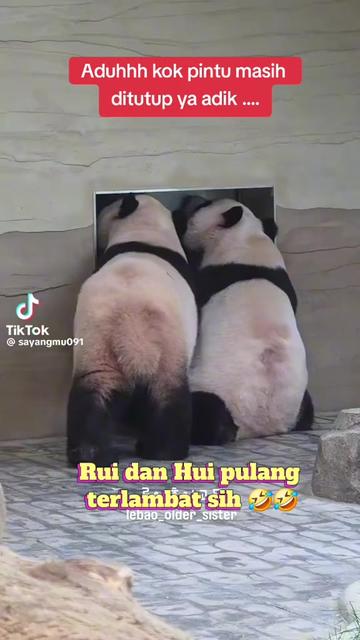 @(W) Widuri_RHH 🇮🇩🌾⚘️🍀🌿