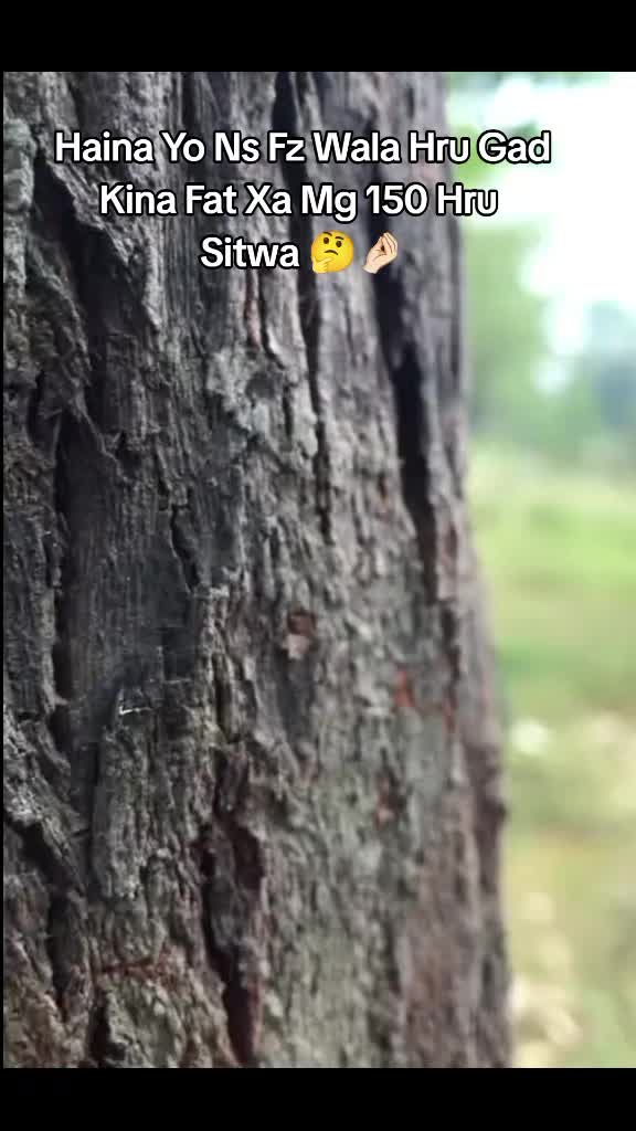 @𝐒𝐀𝐂𝐇𝐈𝐍♻️