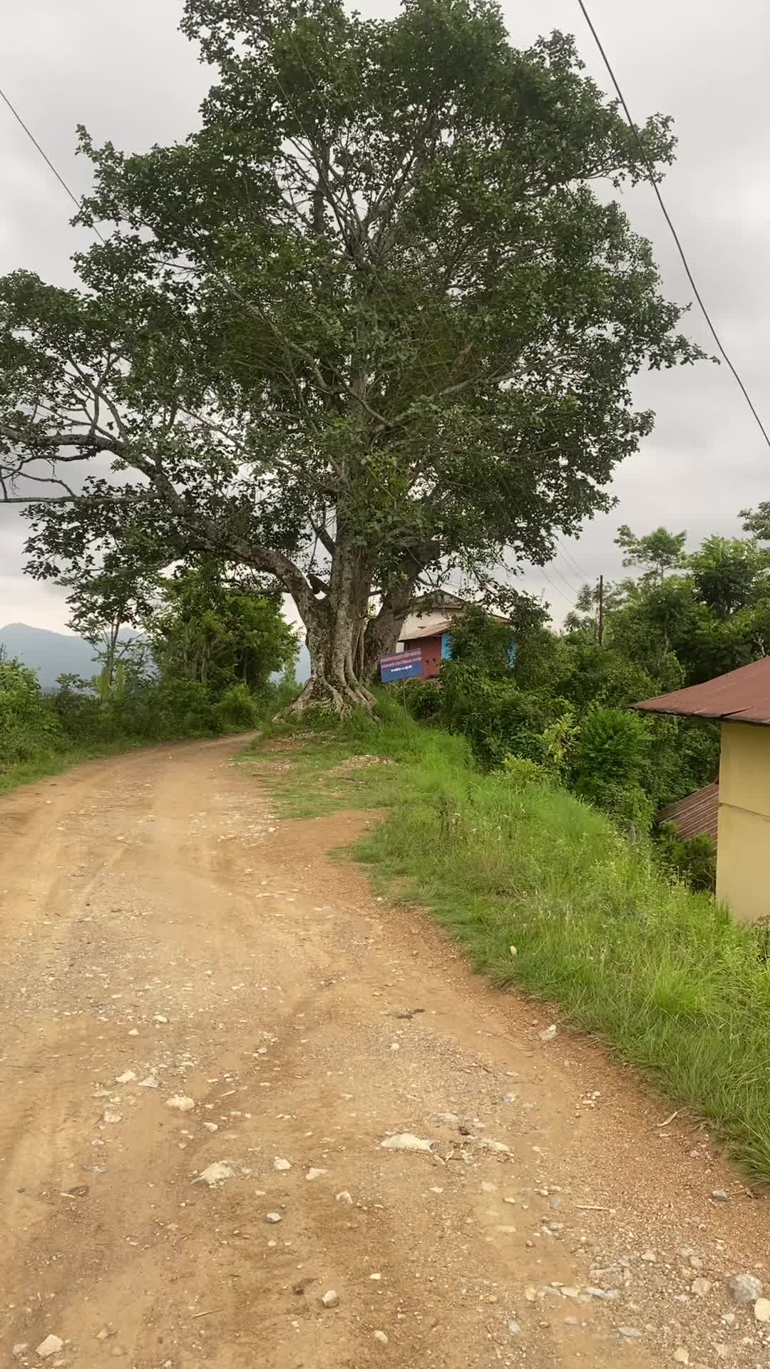 @थानेश्वर ज्ञवाली