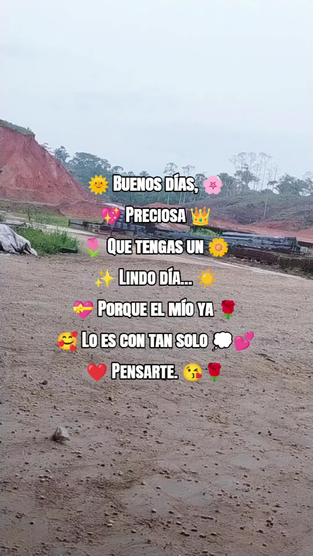 @🌹✨SoyAngelChamal&eacute;Oficial🌹✨