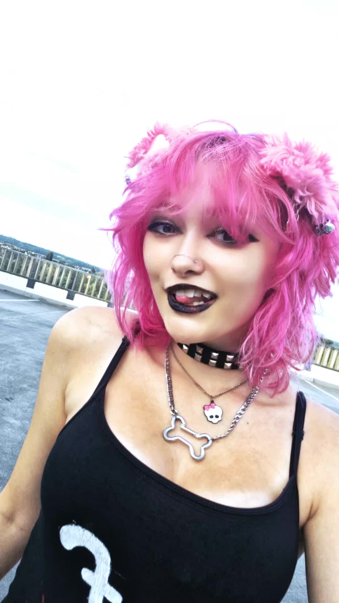 @Pink_Pup