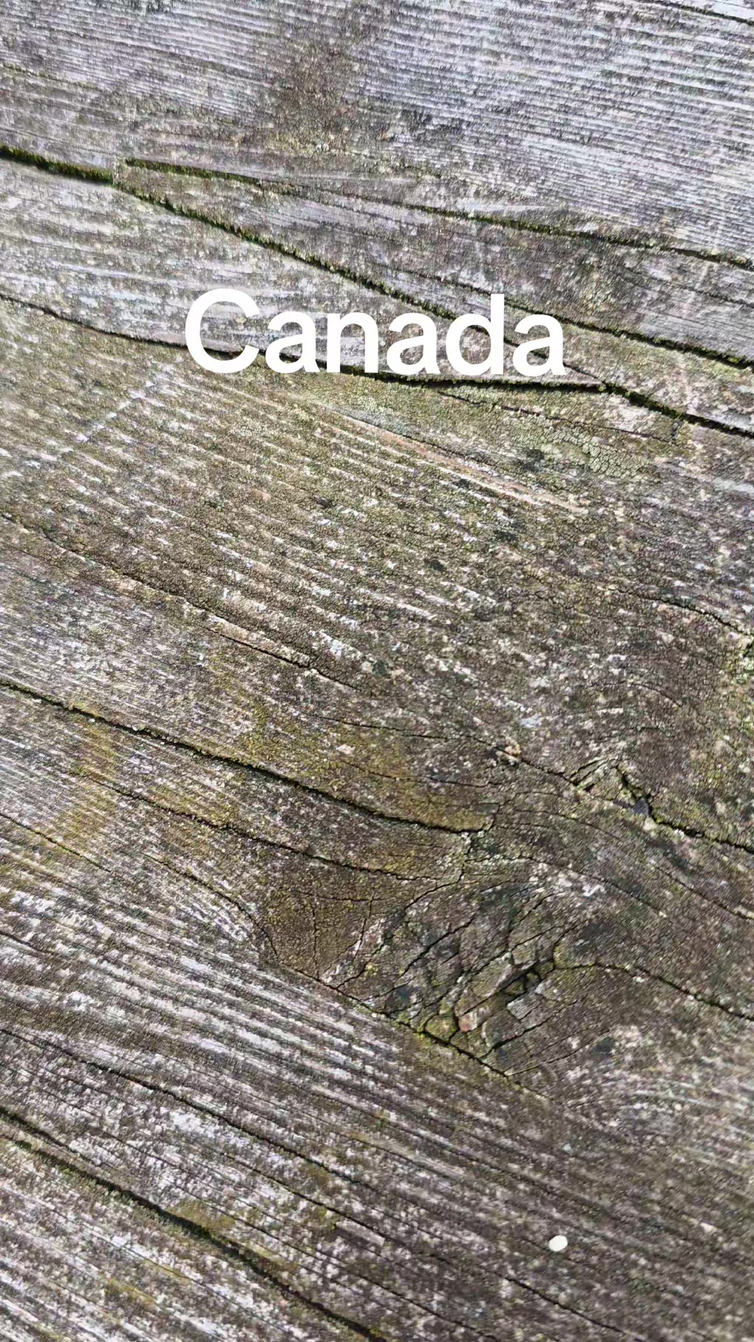 @Lost In Canada