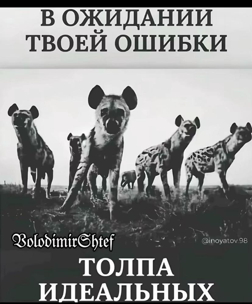 @Киш Лора