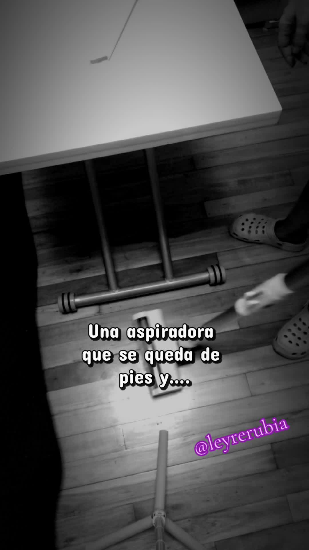 @🐨🦋 Leyre 🦋🐨