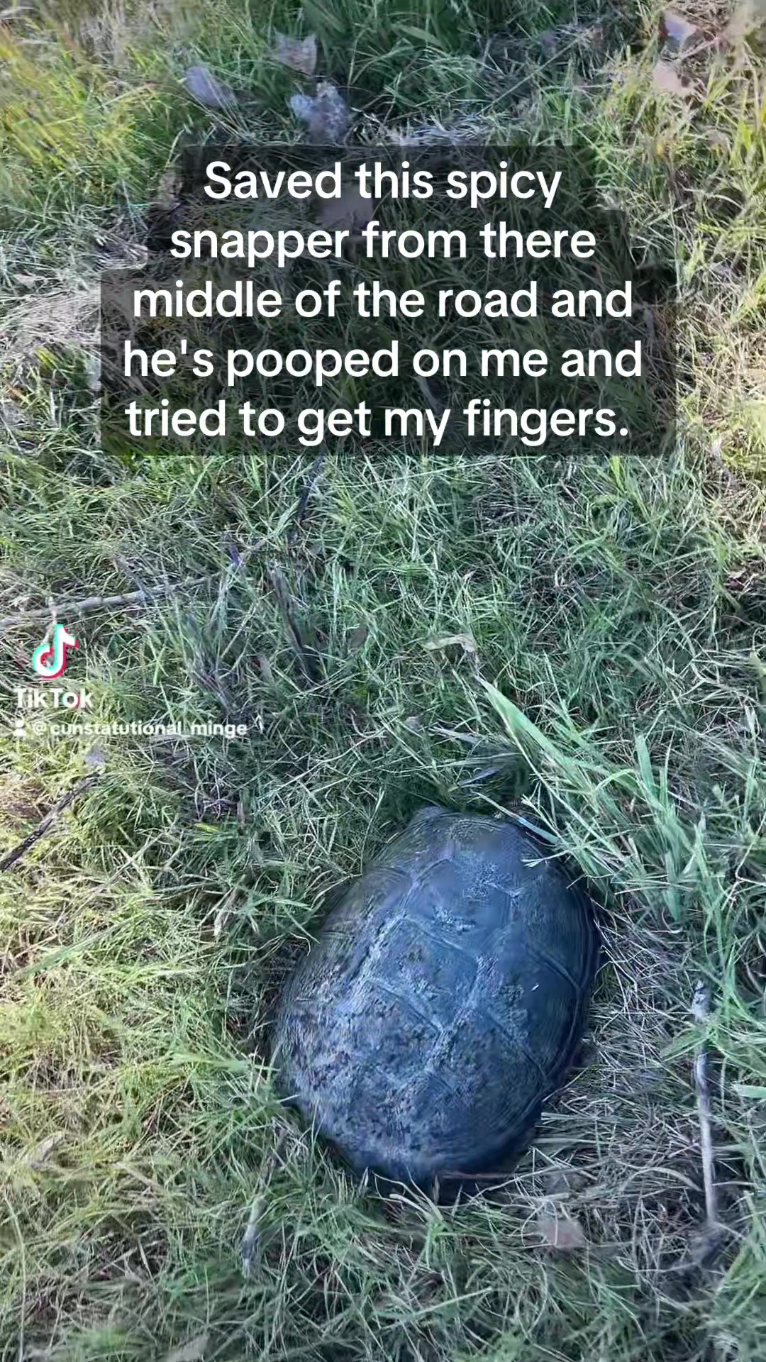@cunstatutional_minge