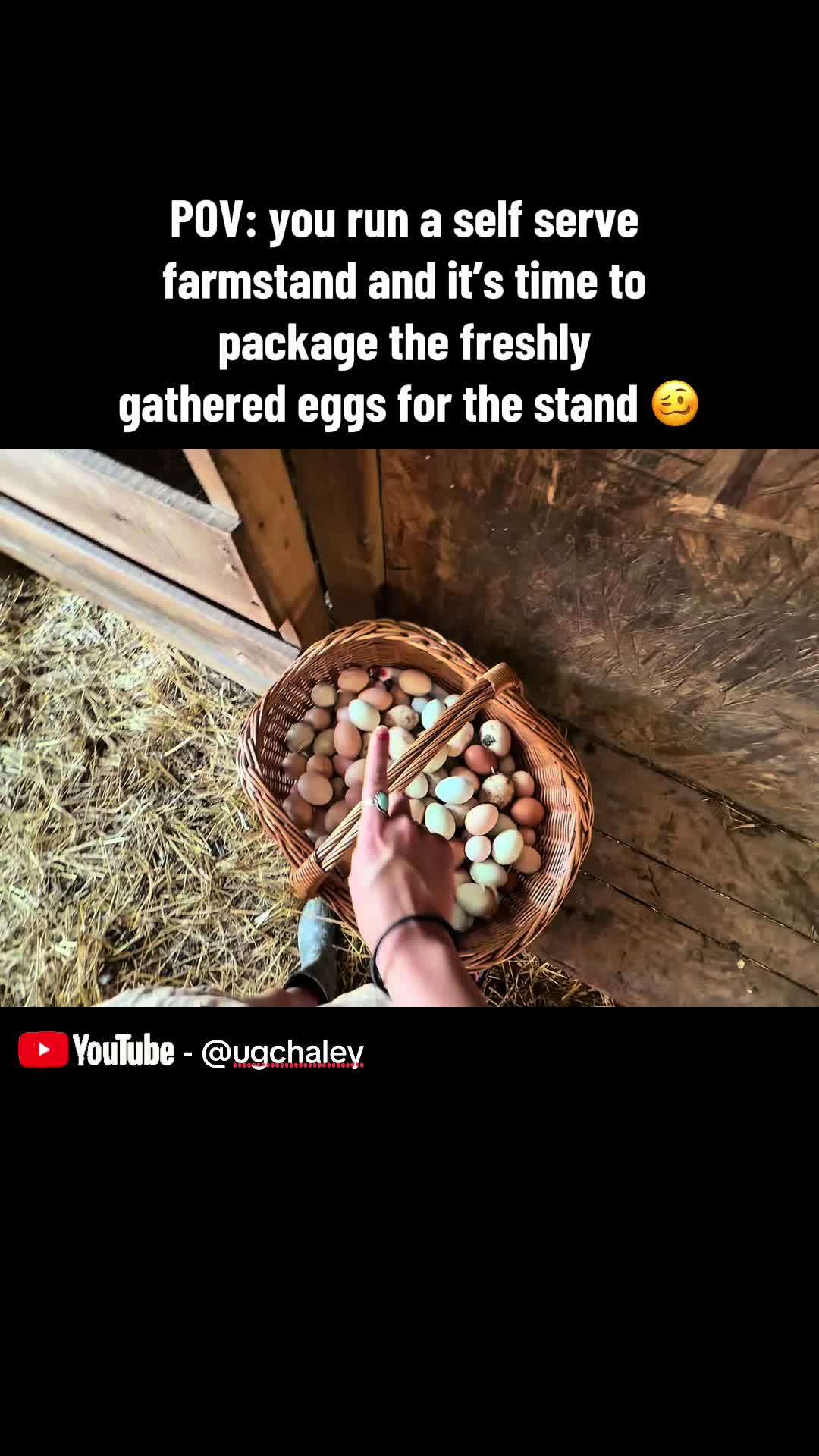 @Haley The Homesteader