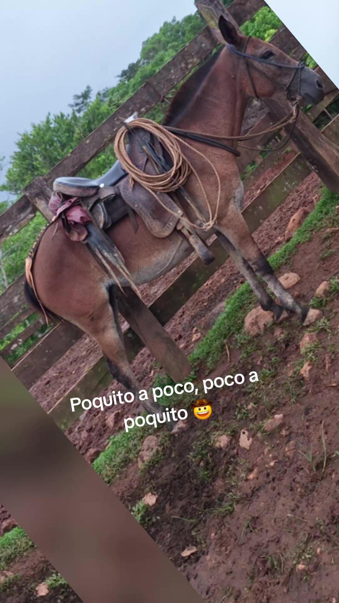 @Řobleto+🐄/Rancho (🐎)+🤠