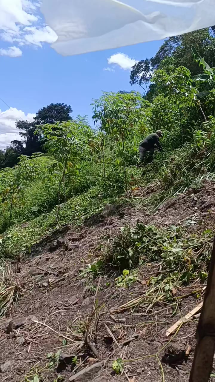 @Saray Mu&ntilde;oz