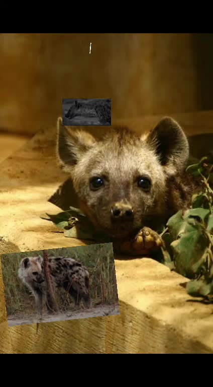 @AbrahamTheHyena✝️