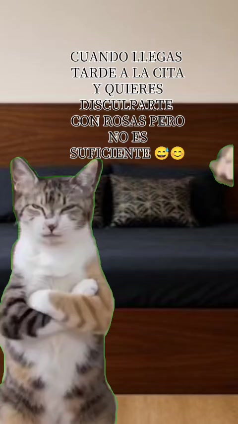 @pachoncito🇲🇽🇲🇽🇲🇽