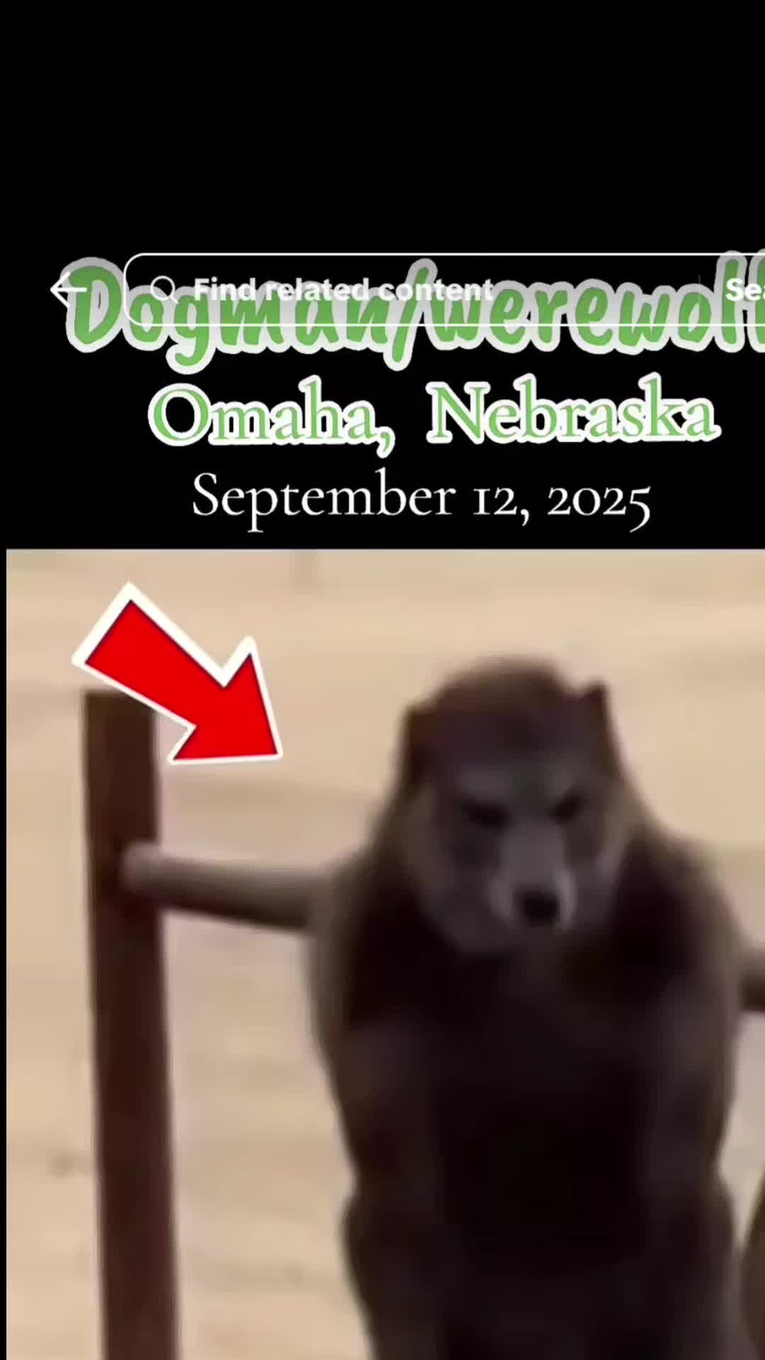 @wayneljenkins72000