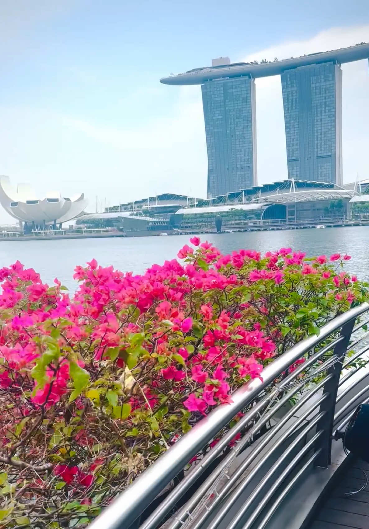 @SG Adventure 🇸🇬