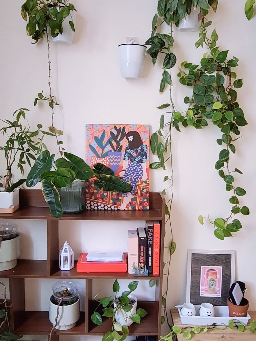 @Sara | Indoor Plants | 🇲🇾