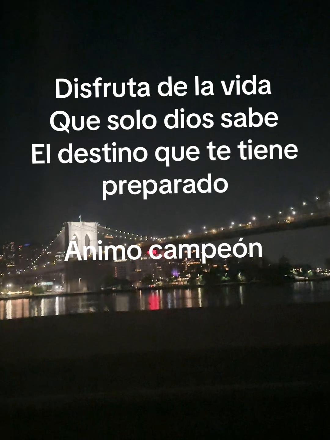 @Flores