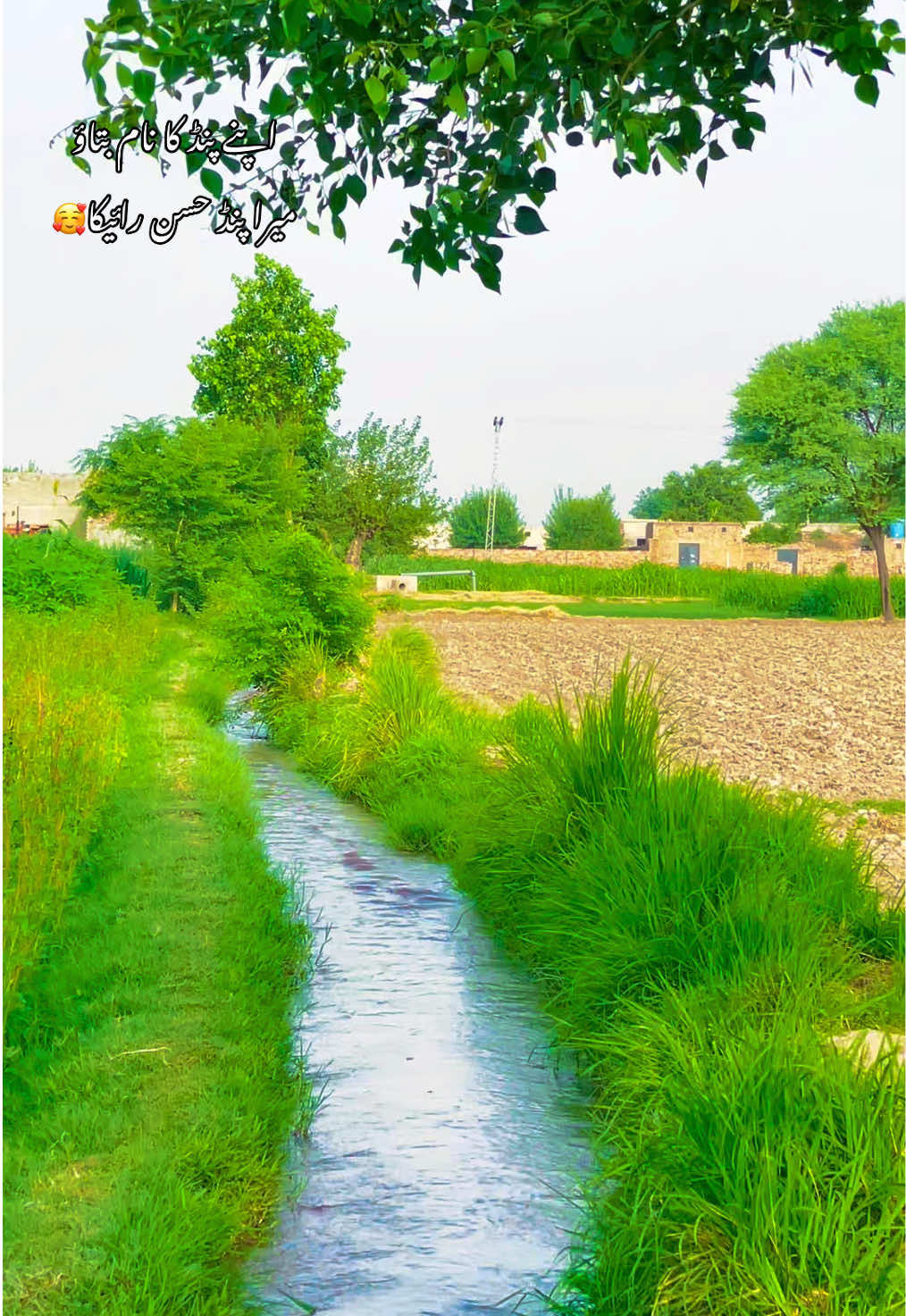 @احمد ہنجرا_بہاولنگر🥰