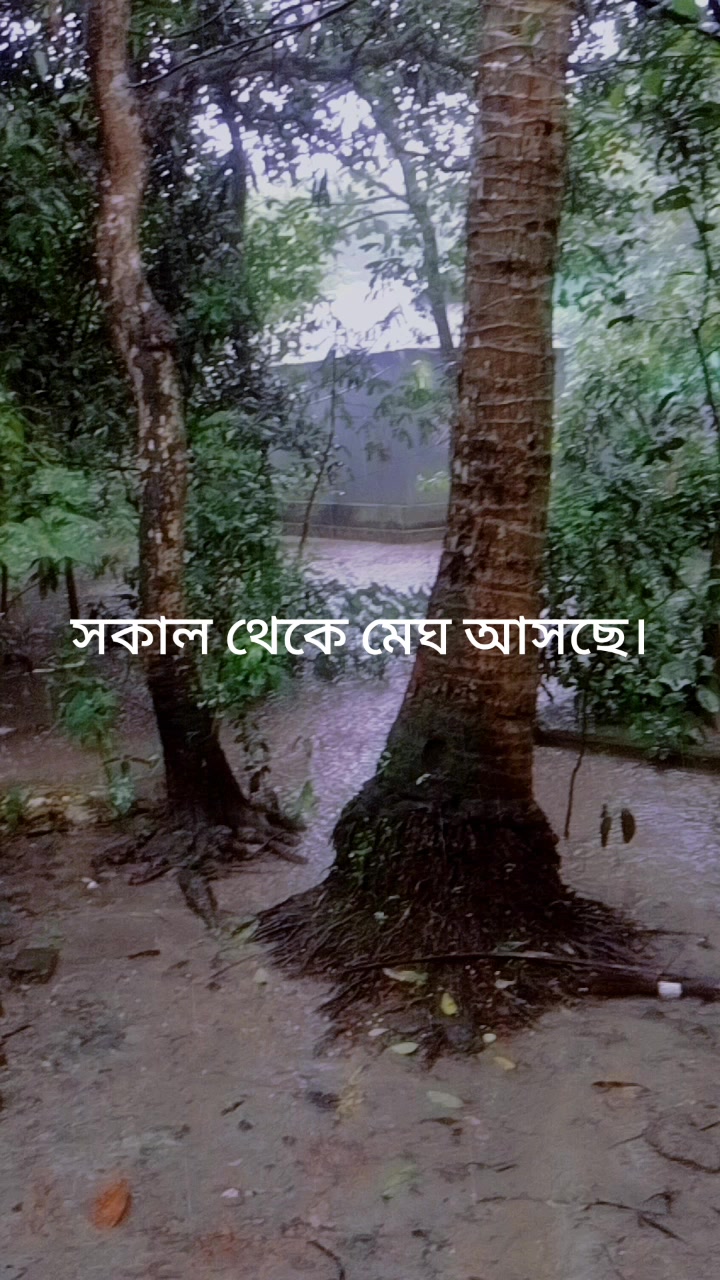 @Morgena