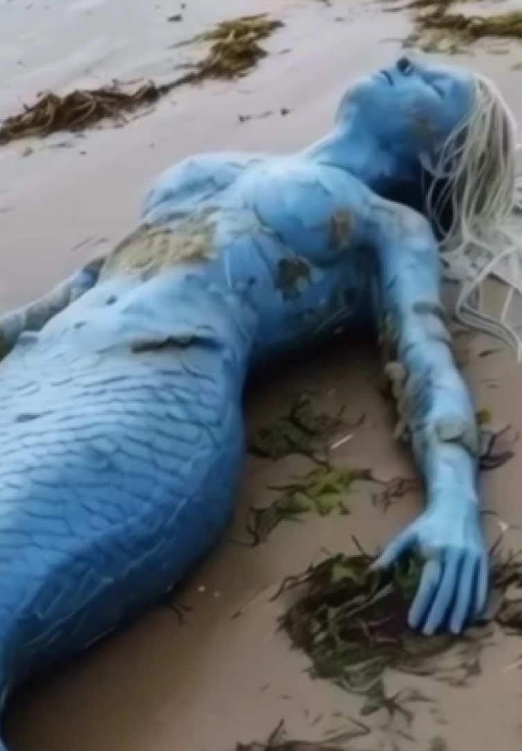 @felpzoficial