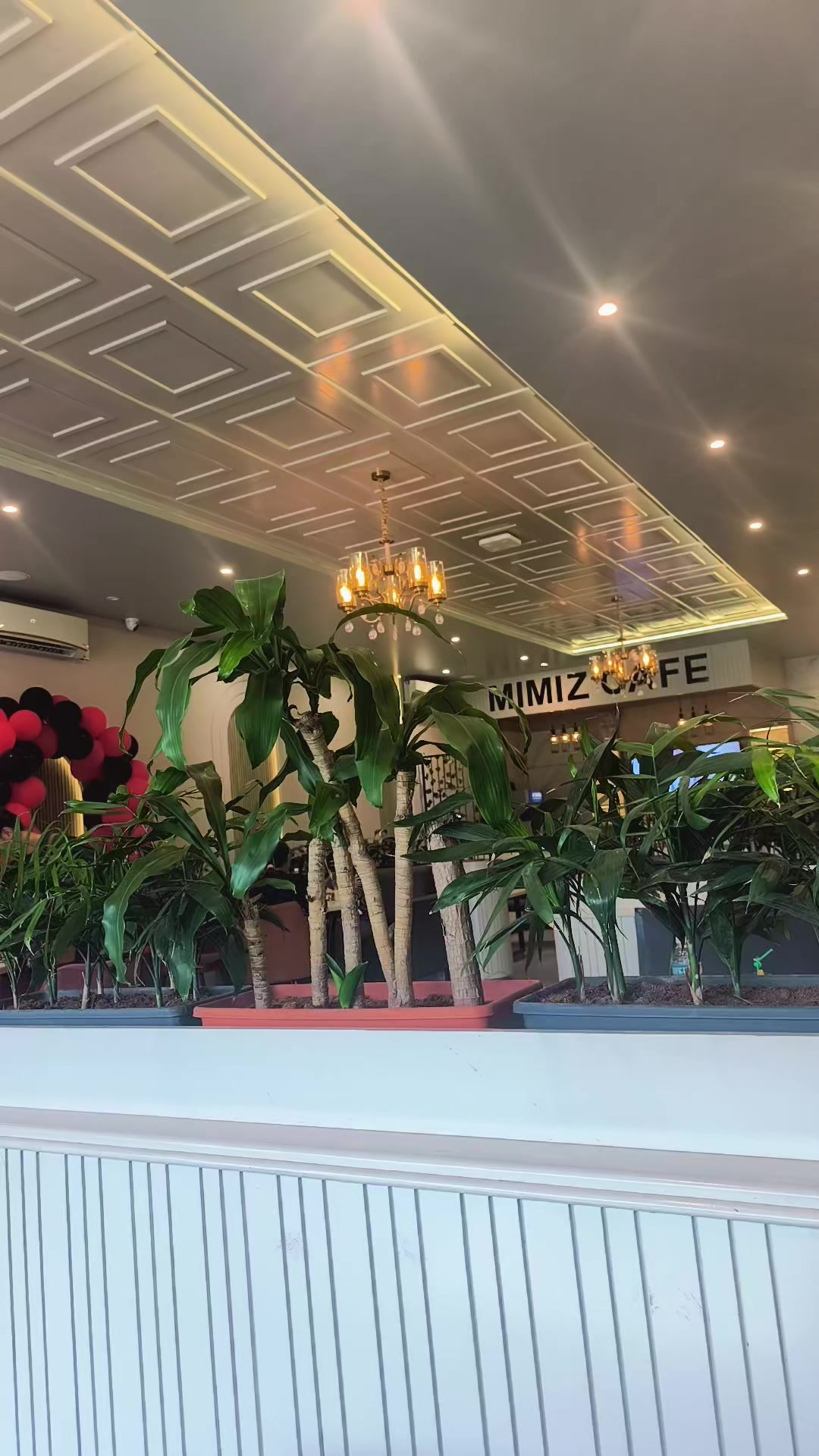 @kankai traders surunga