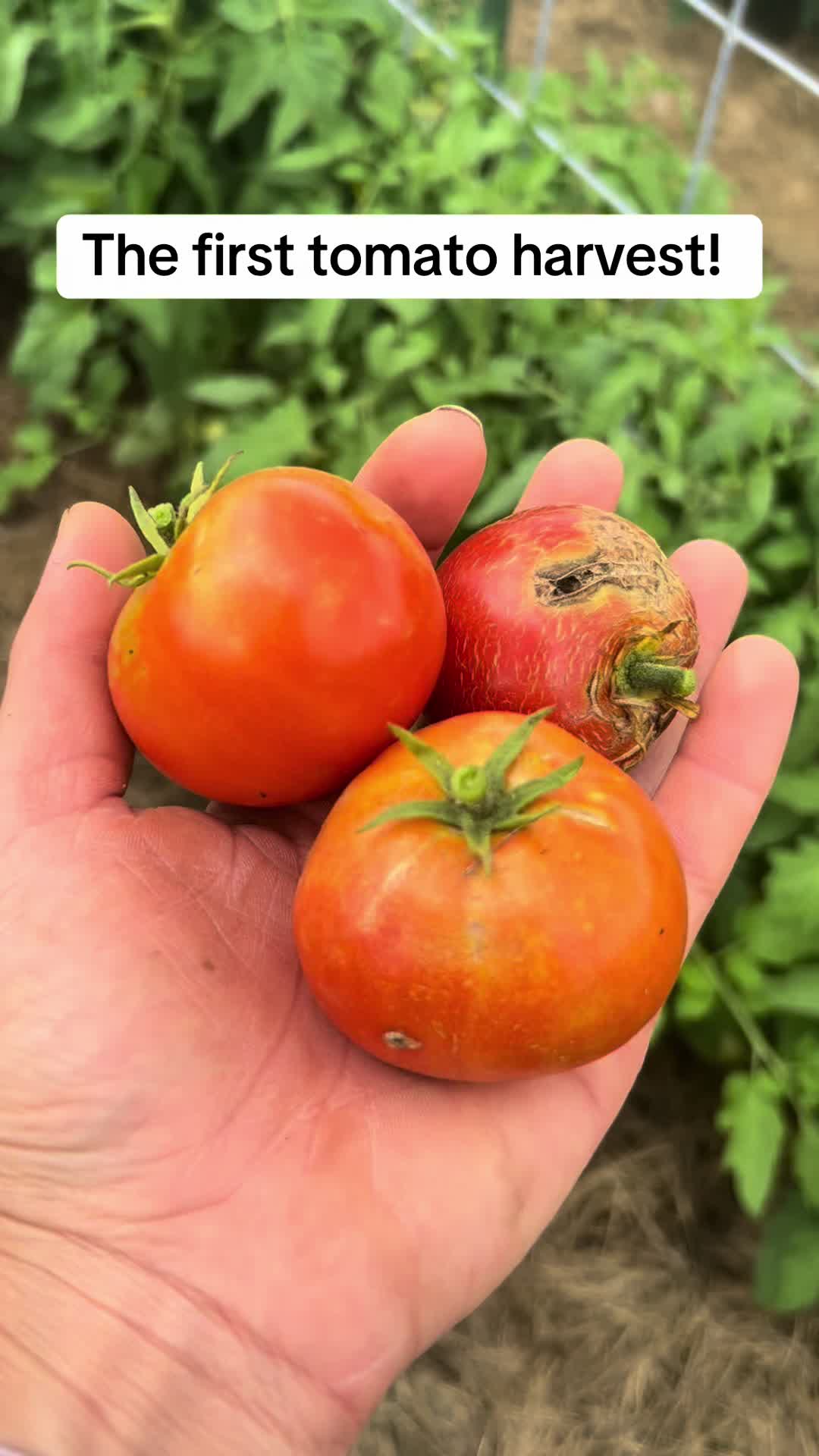 @littlesandycreekfarm