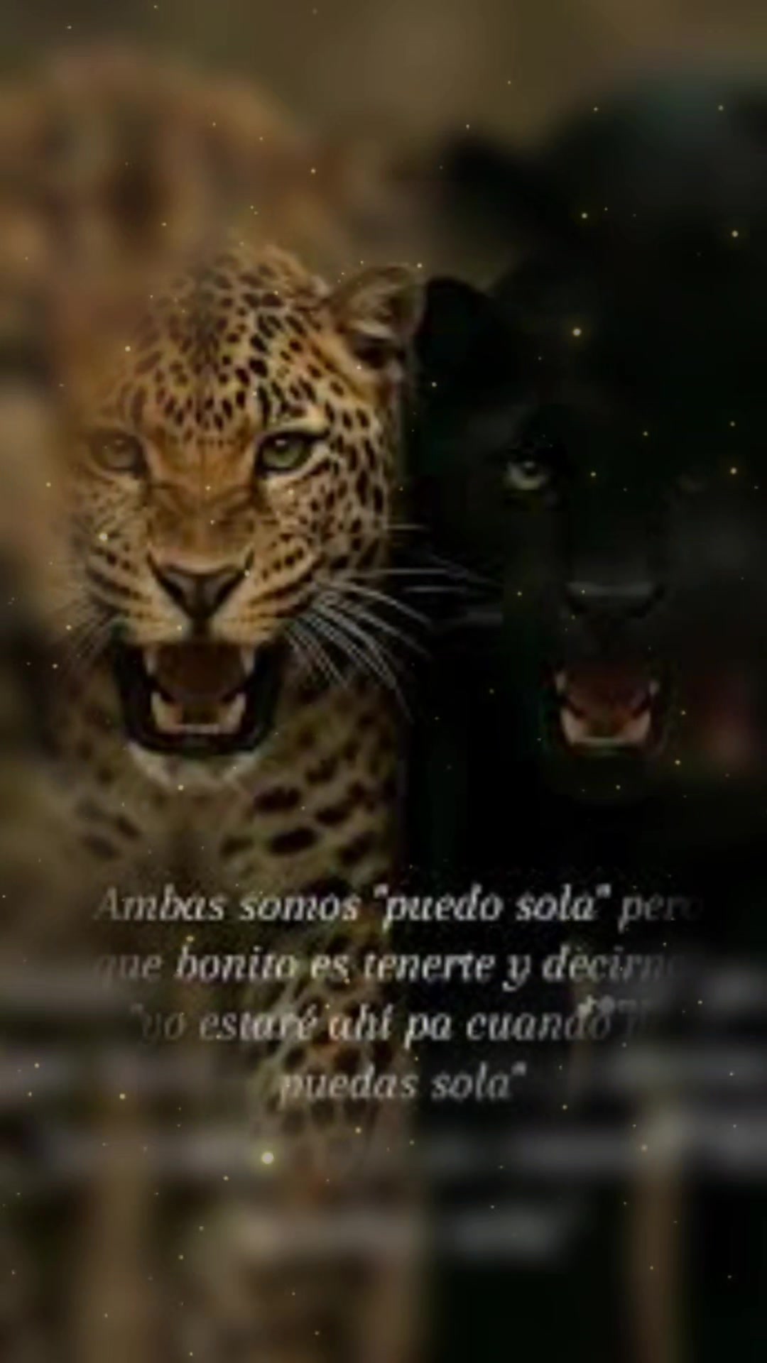 @🤍ana&times;galiastur506🤍