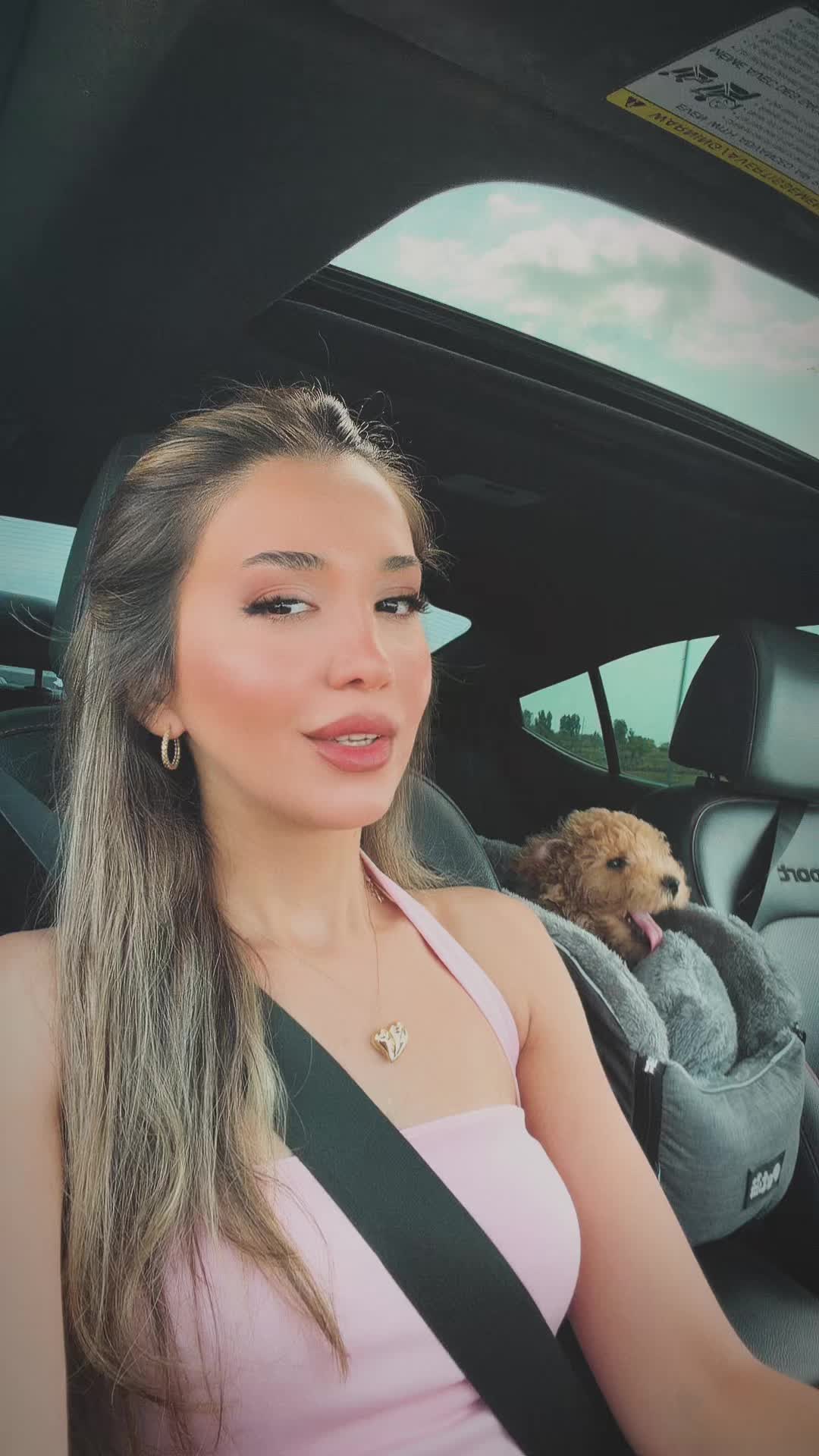 @cevonaz.