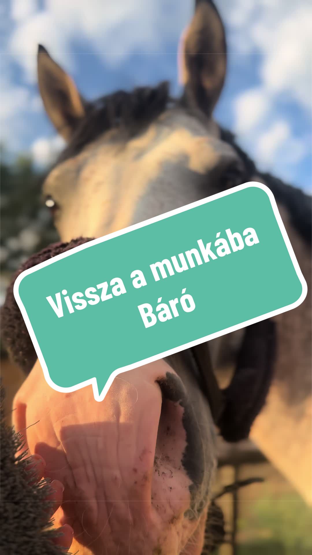 @B&D(D&oacute;ri)🥳