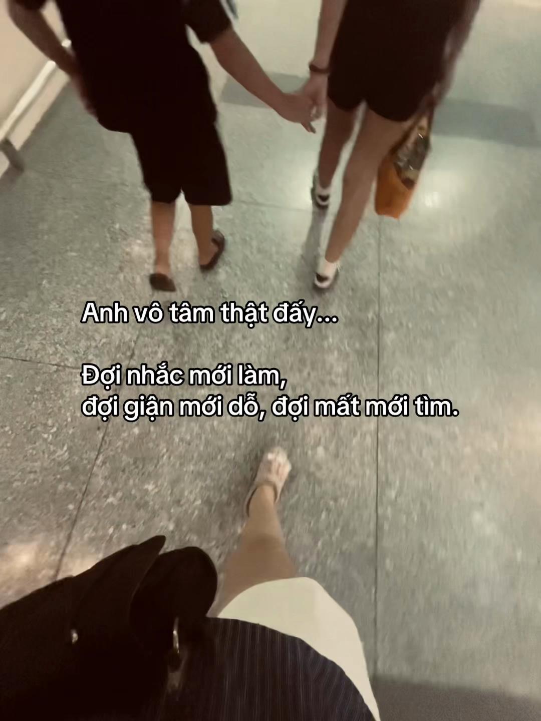 @𝘛𝘳𝘢𝘯 𝘘𝘶𝘺𝘯𝘩🍁