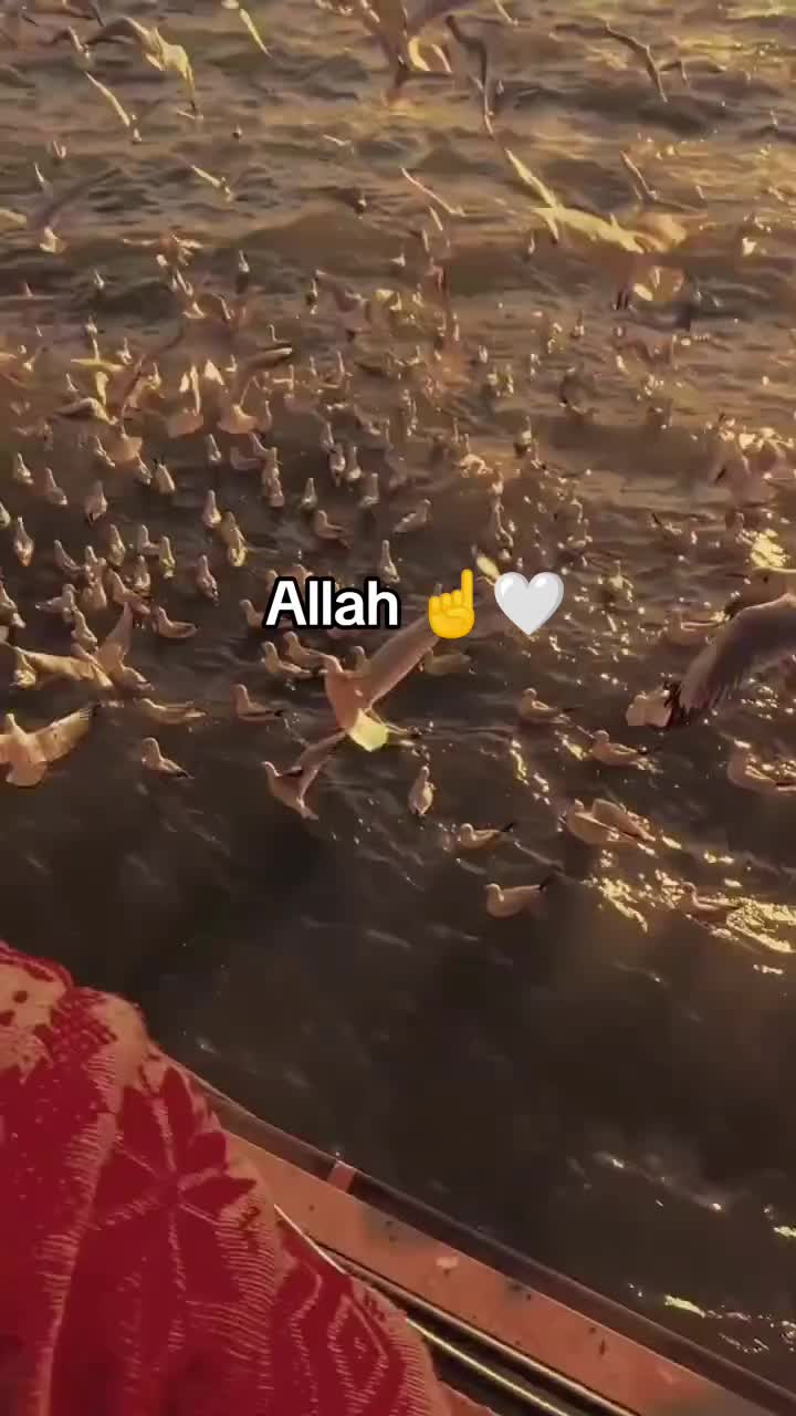 @😶&zwj;🌫️