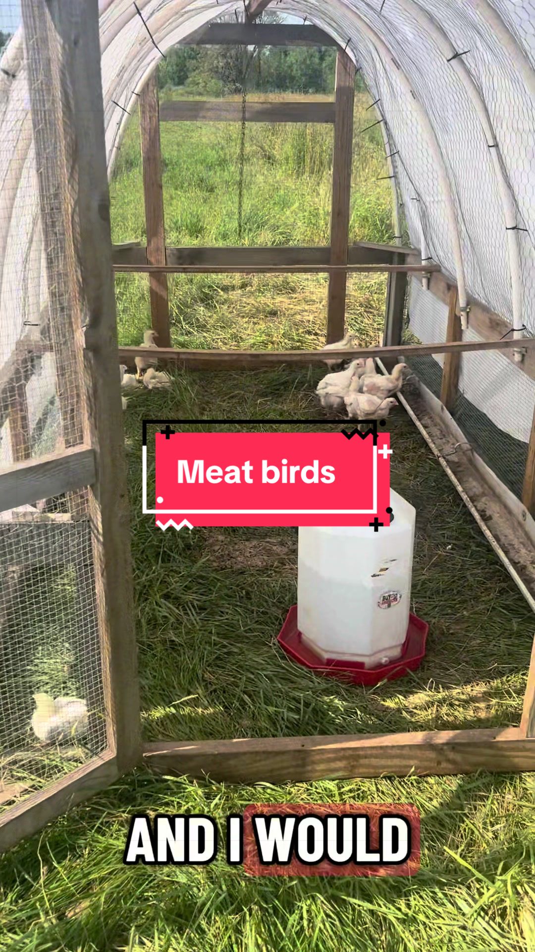@littlesandycreekfarm